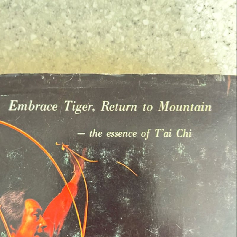 Embrace Tiger, Return to Mountain