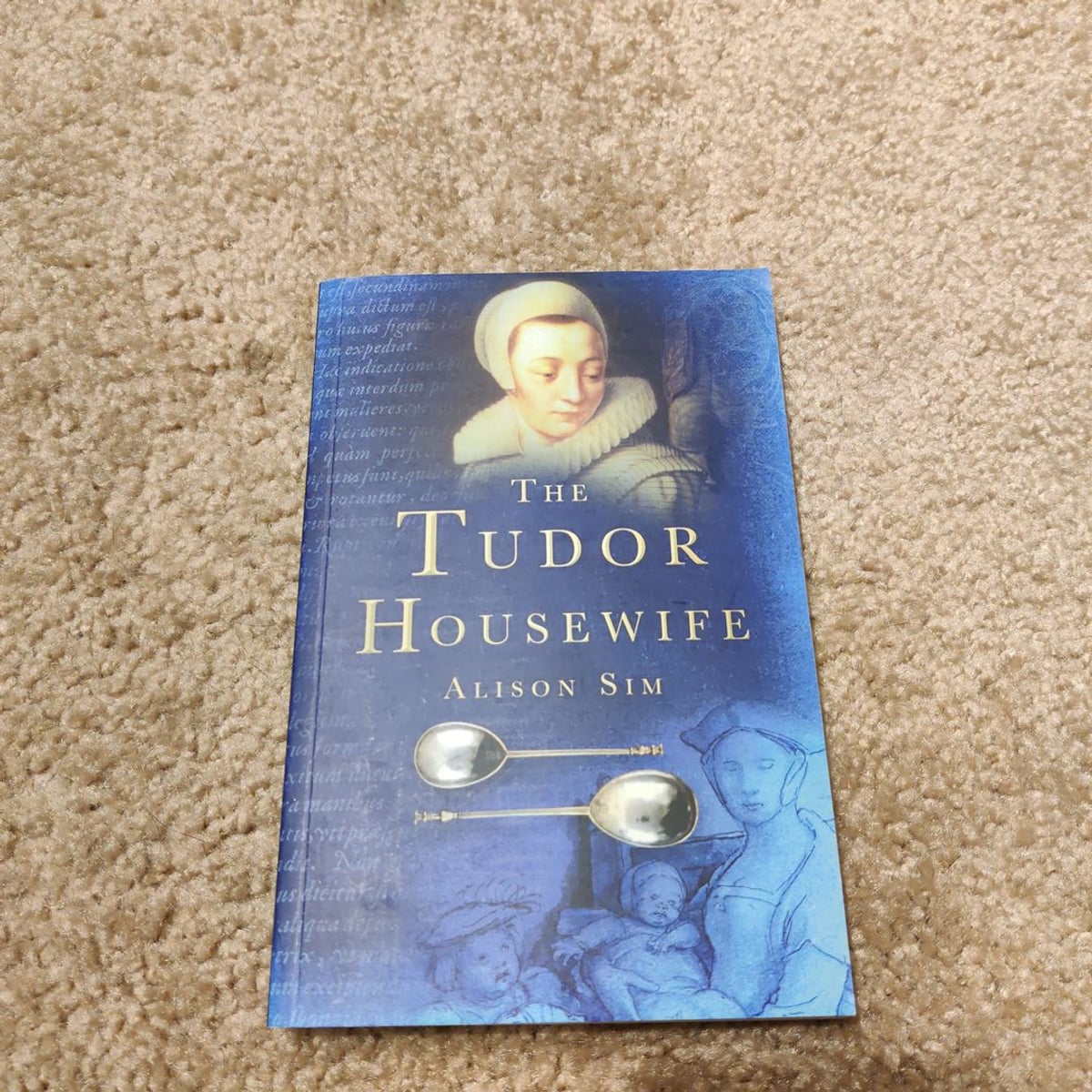 Tudor Housewife by Alison Sim