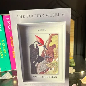 The Suicide Museum