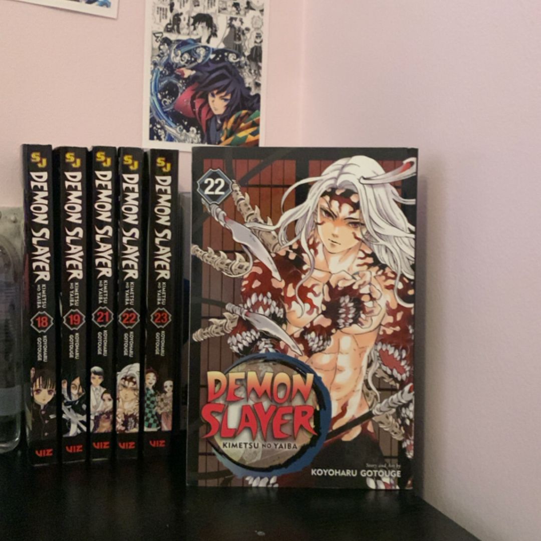 Demon Slayer: Kimetsu No Yaiba, Vol. 22