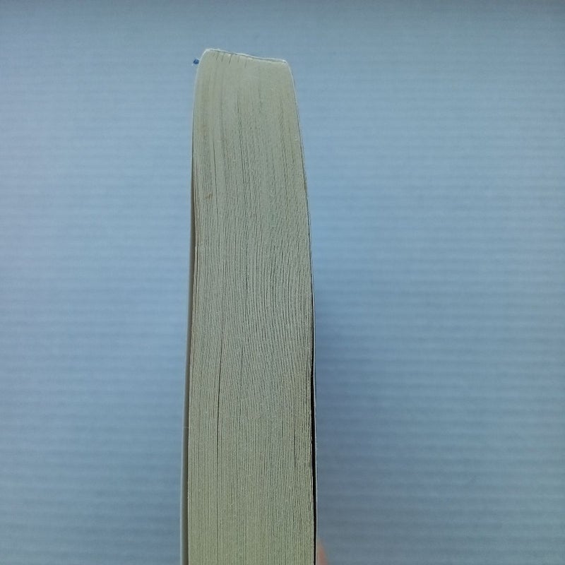 The Book Woman's Daughter