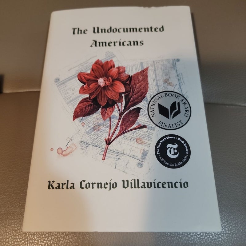 The Undocumented Americans