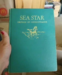 Sea star 