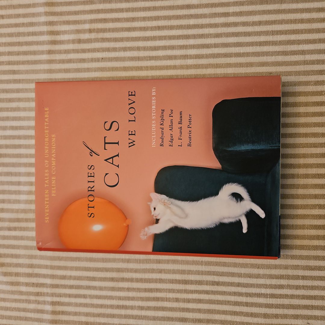 Stories of Cats We Love