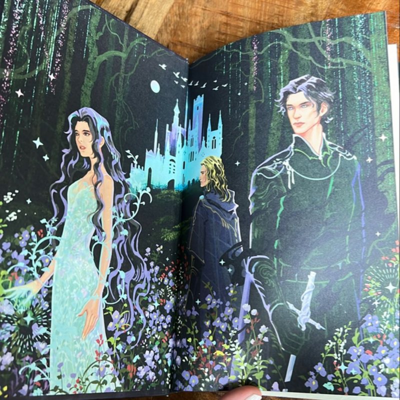 A Feather so Black (Fairyloot edition) by Lyra Selene, Hardcover