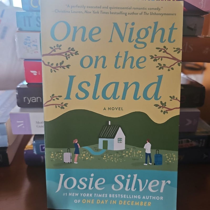 One Night on the Island