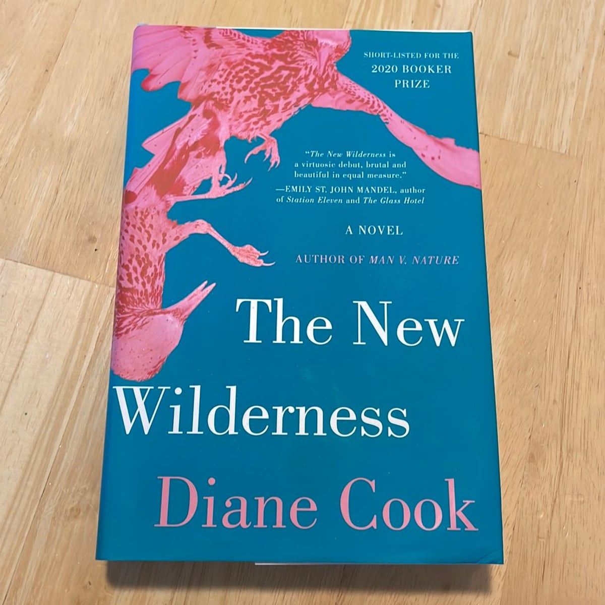 The New Wilderness by Diane Cook