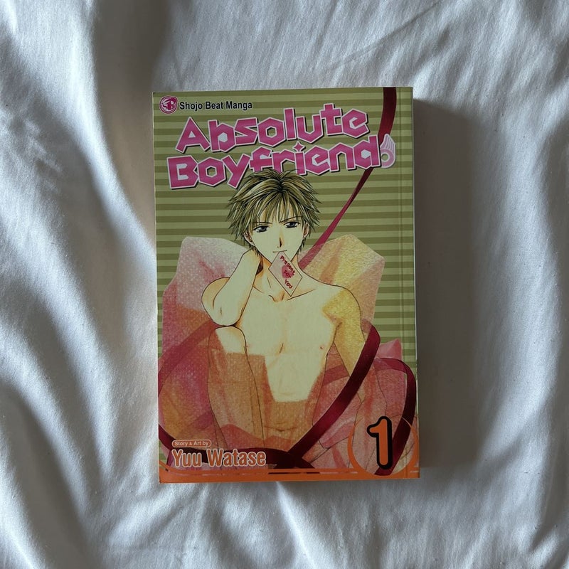 Absolute Boyfriend, Vol. 1