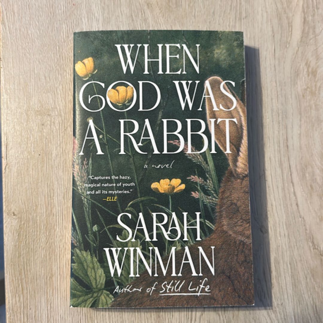 When God Was a Rabbit by Sarah Winman, Paperback | Pangobooks