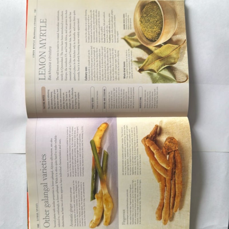 Herbs and Spices