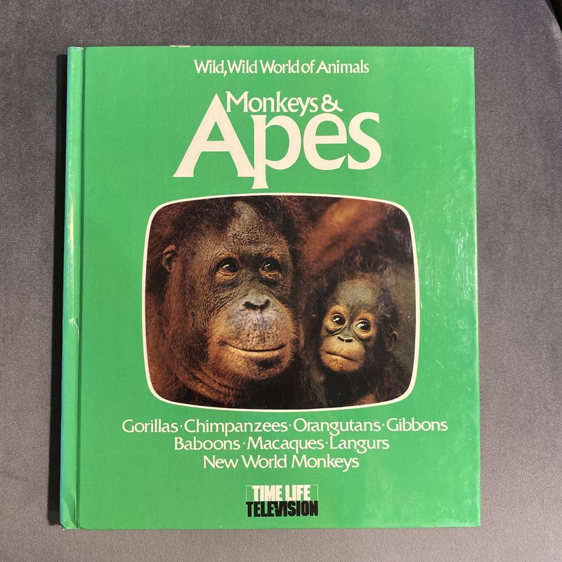 Monkeys and Apes