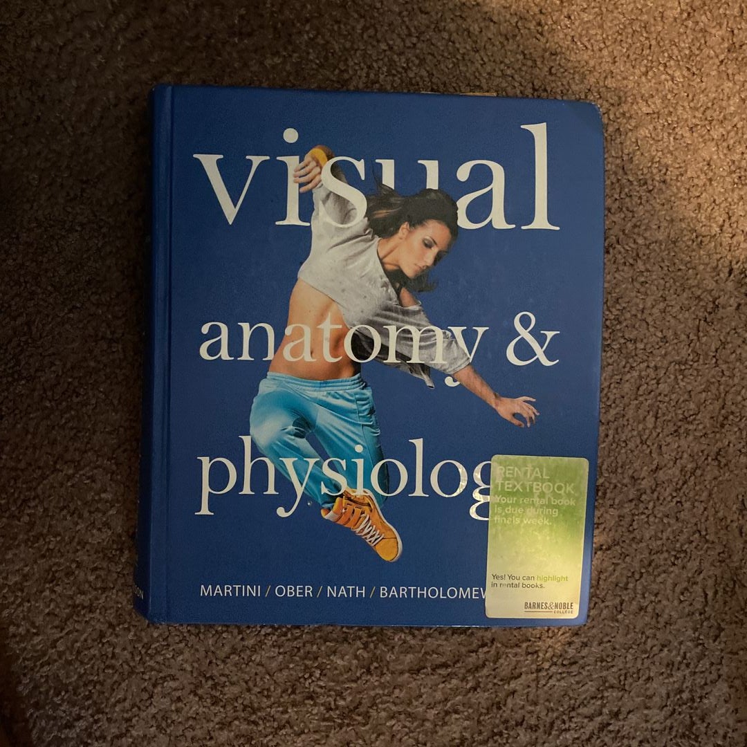Visual Anatomy And Physiology