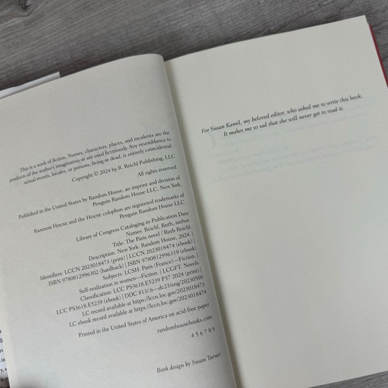 The Paris Novel