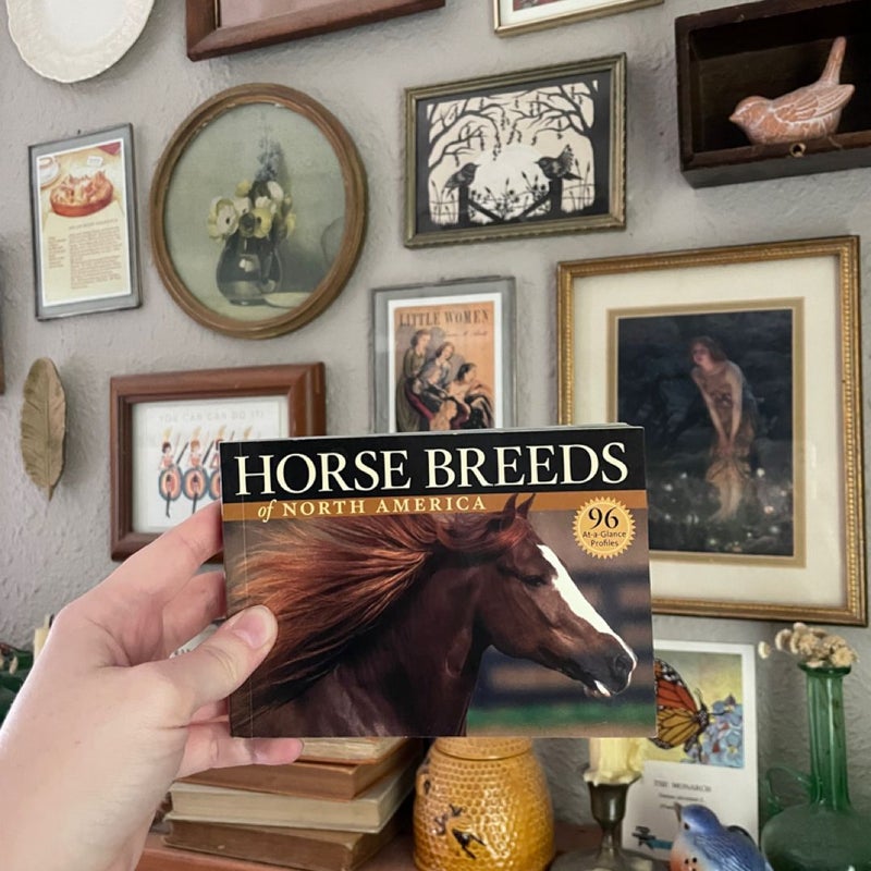 Horse Breeds of North America