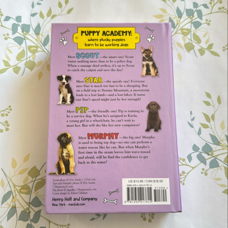 Puppy Academy Bindup Books 1-4: Scout and the Sausage Thief, Star on Stormy Mountain, Pip and the Paw of Friendship, Murphy and the Great Surf Rescue