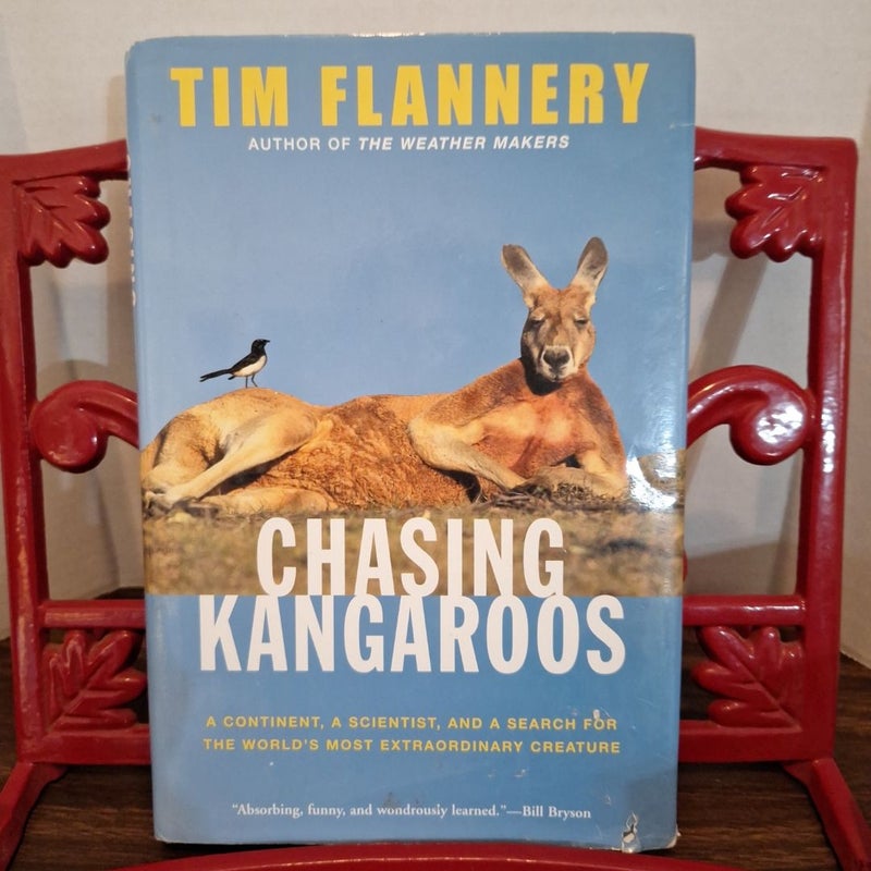 Chasing Kangaroos