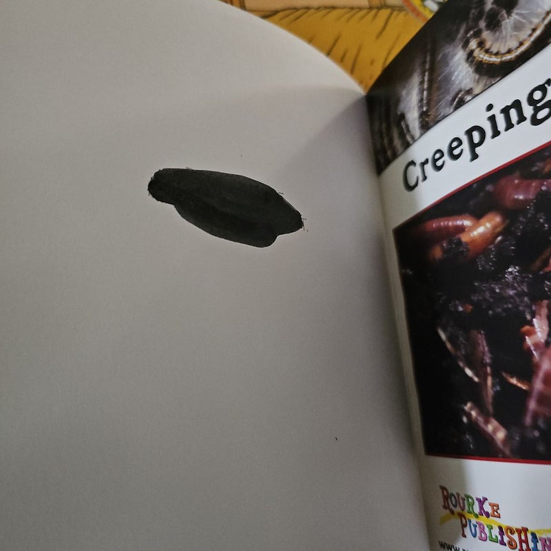 Creeping Crawlers