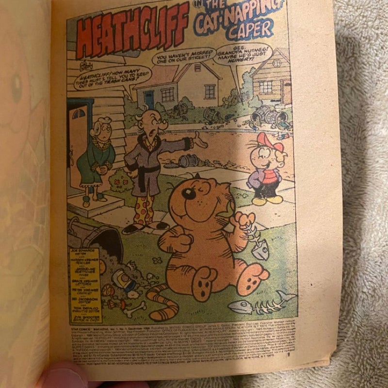 Heathcliff the Magi-Cat