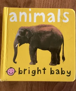 Bright Baby Animals