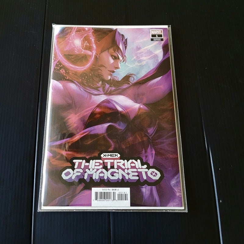 X-Men: Trial Of Magneto #1