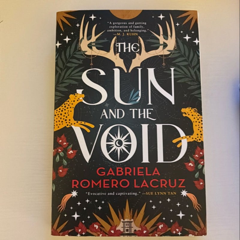 The Sun and the Void