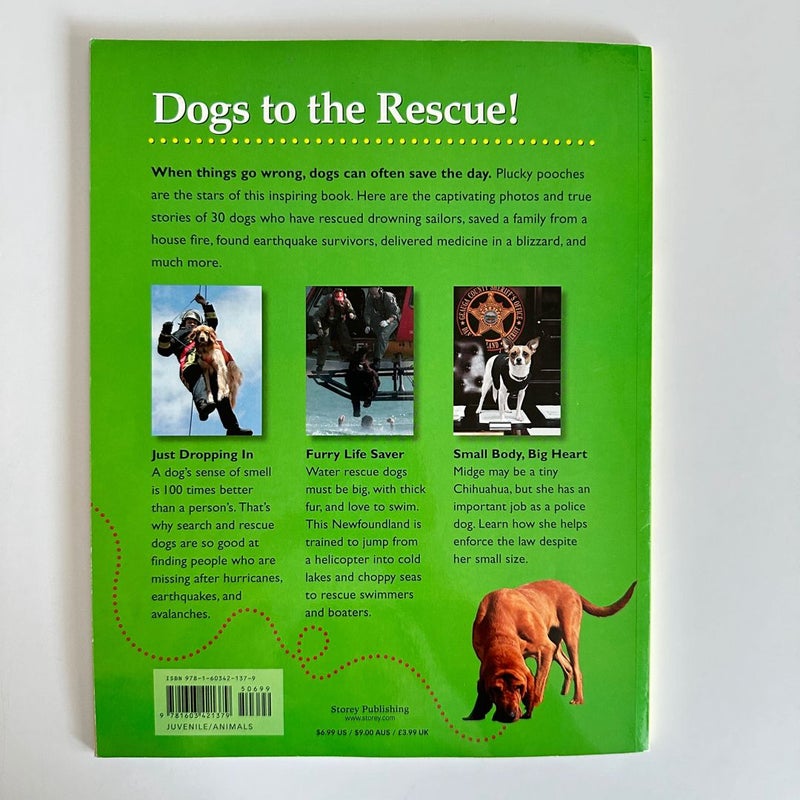 Dog Heroes, Tales of Dramatic Rescues
