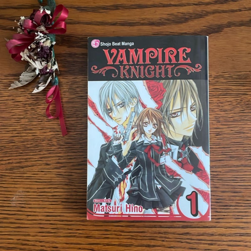 Vampire Knight, Vol. 1