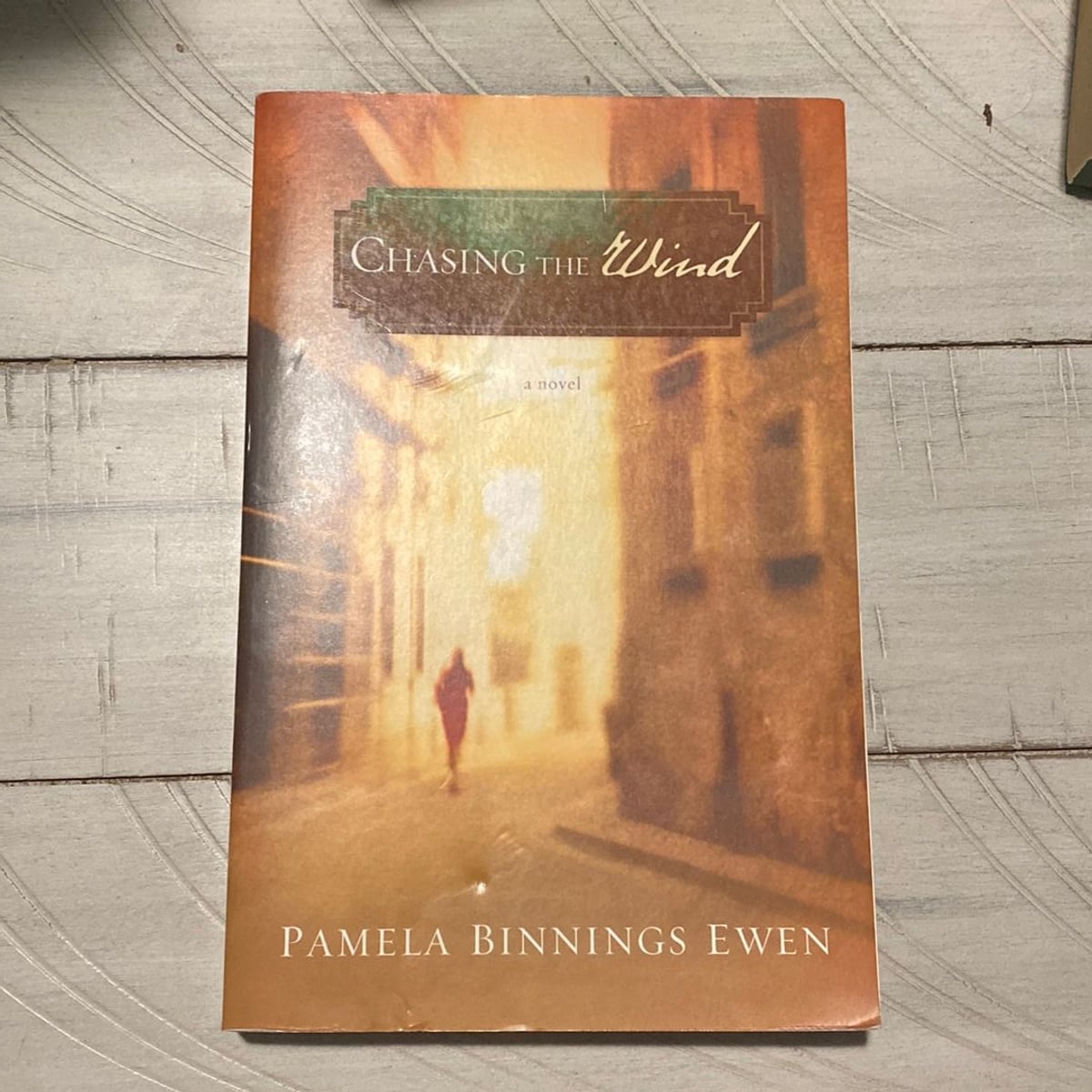 Chasing the Wind by Pamela Binnings Ewen