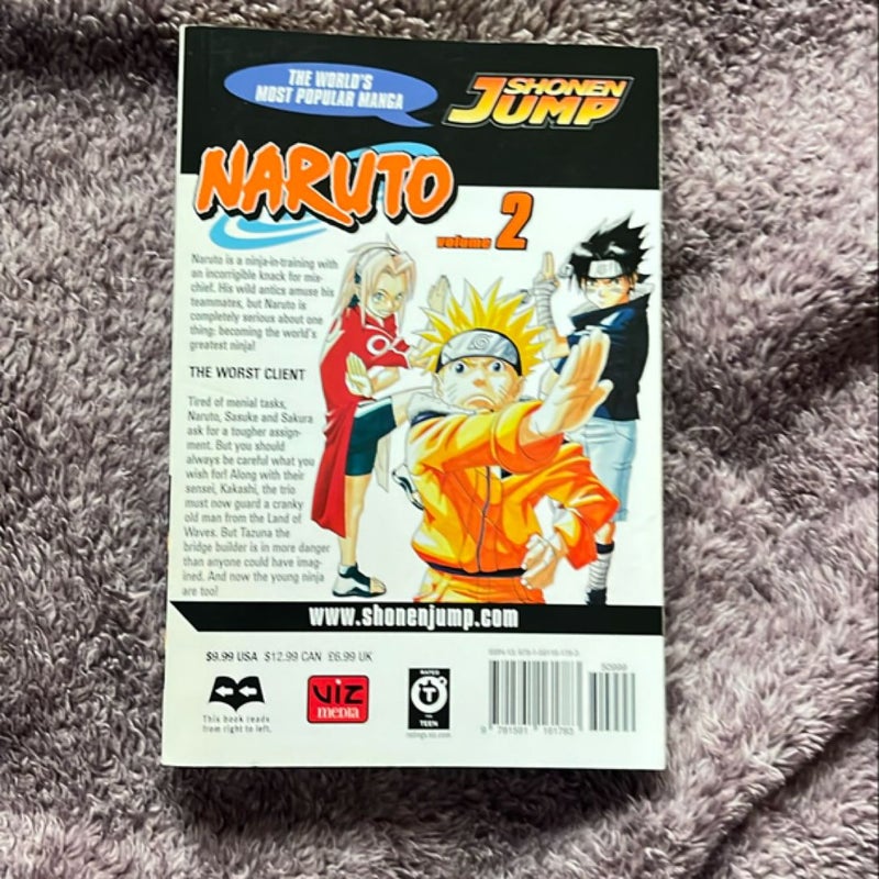 Naruto, Vol. 2