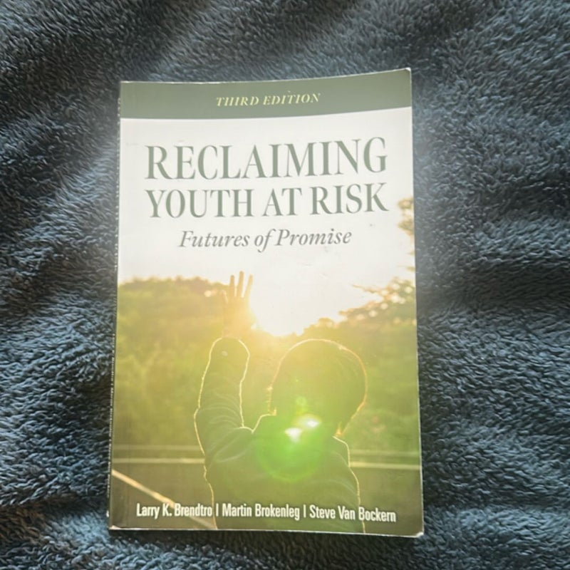 Reclaiming Youth at Risk