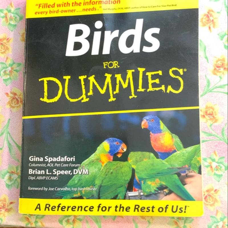 Birds for Dummies