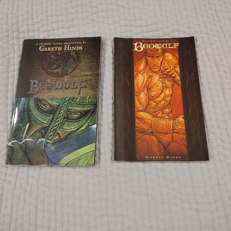 Beowulf Adaptation by Gareth Hinds 2 books editions plus DVD bundle.