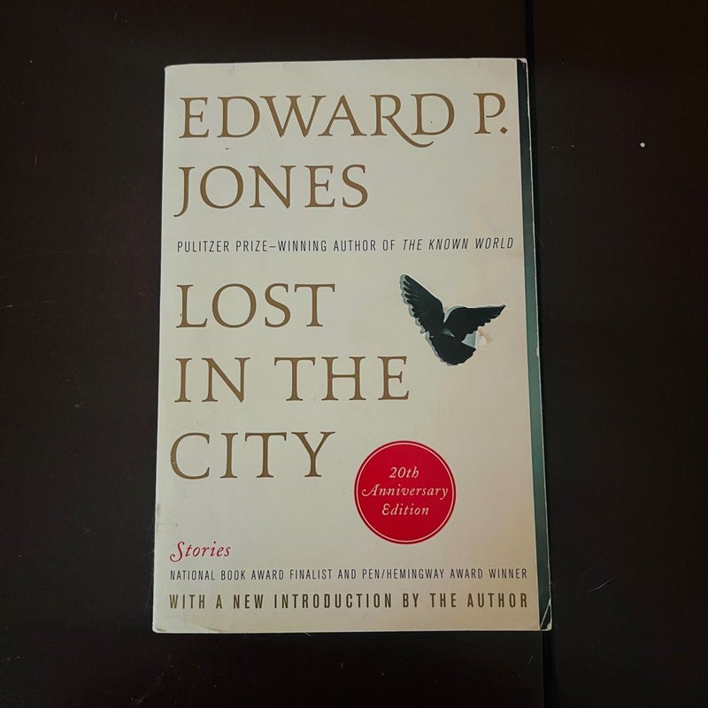 Lost in the City - 20th Anniversary Edition