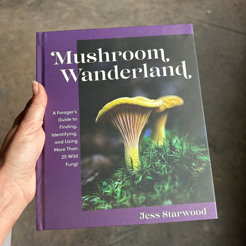 Mushroom Wanderland