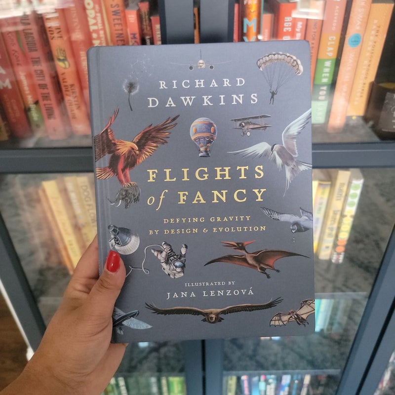 Flights of Fancy