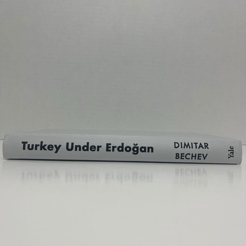 Turkey under Erdogan