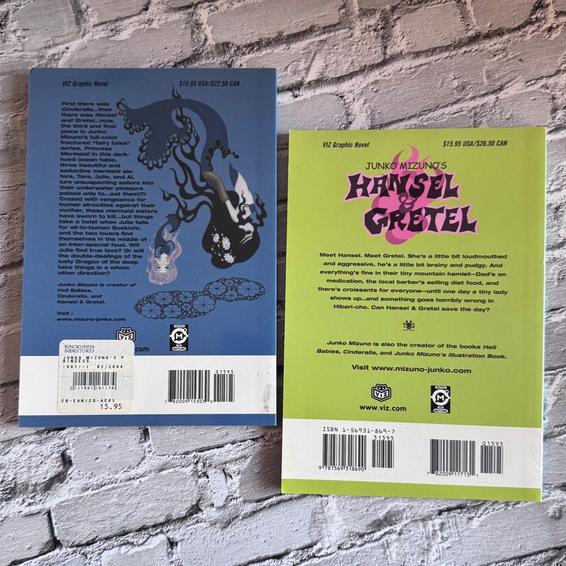 Two Junko Mizuno Graphic Novels