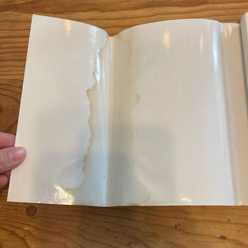 Letters to a Young Writer