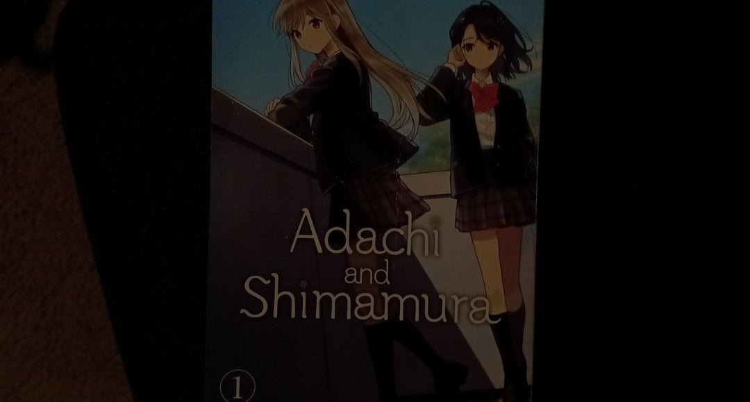 Adachi and Shimamura (Light Novel) Vol. 4 (Paperback)