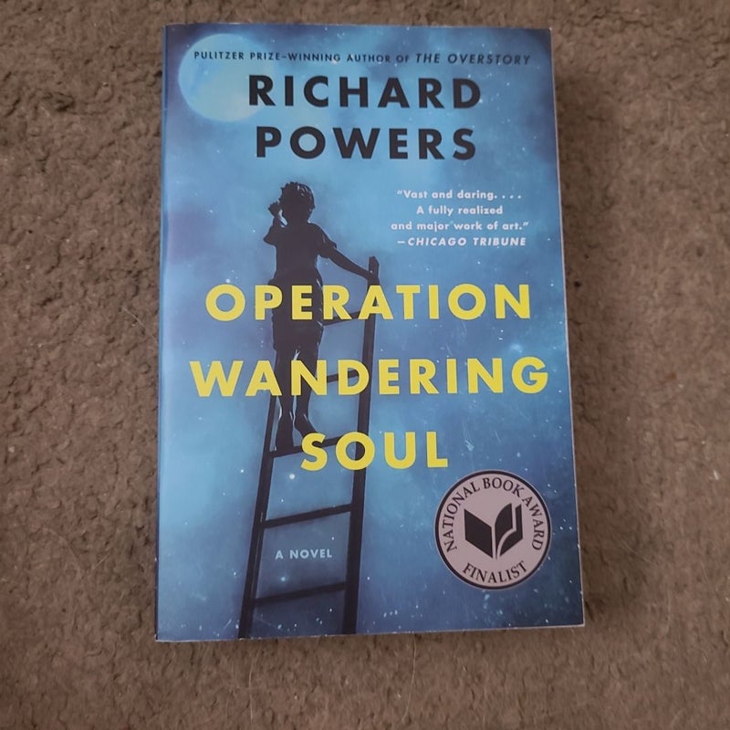 Operation Wandering Soul