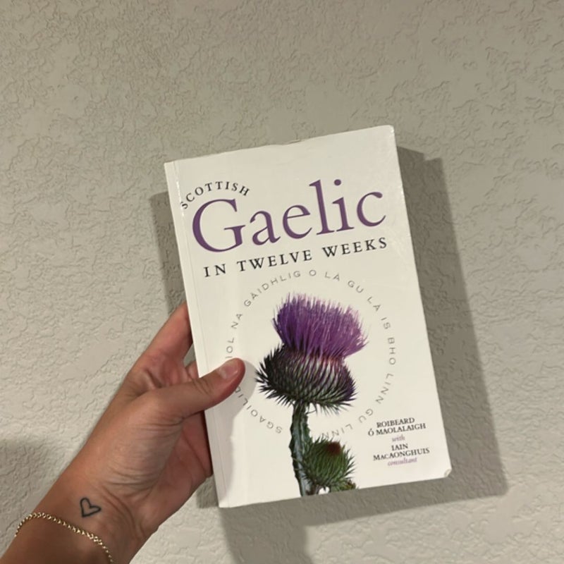 Scottish Gaelic in Twelve Weeks