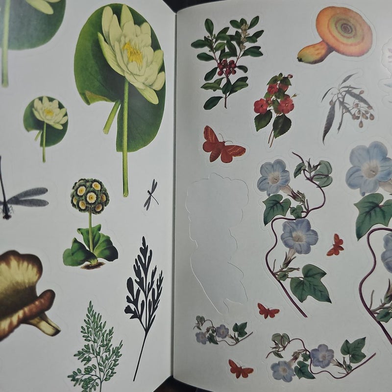 The Botanist's Sticker Anthology: With More Than 1,000 Vintage Stickers (DK  Sticker Anthology) (Hardcover)