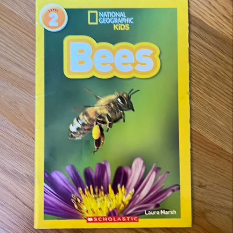 Bees 