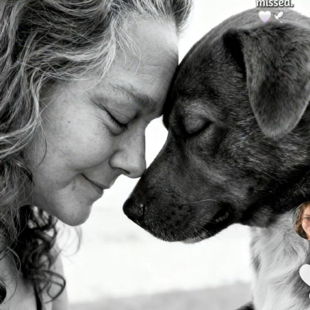 Little Shop of Fiction