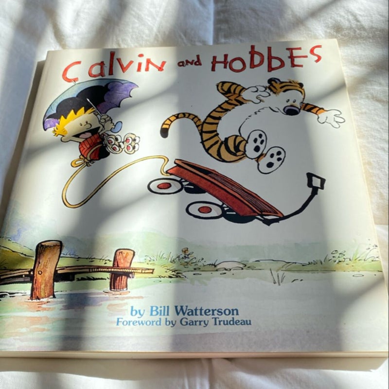 Calvin and Hobbes