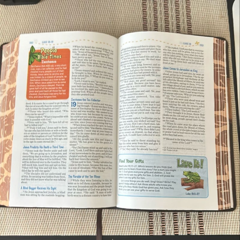 NIV Adventure Bible, Leathersoft, Brown, Full Color