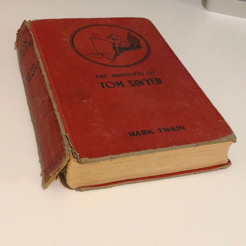 The adventures of Tom Sawyer 