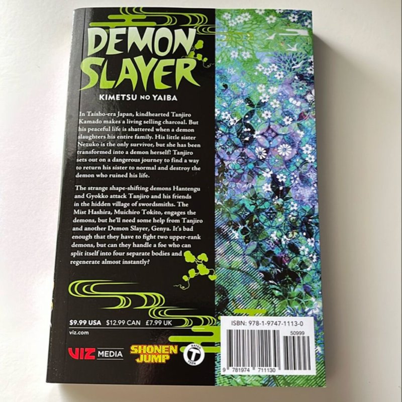 Demon Slayer: Kimetsu No Yaiba, Vol. 13