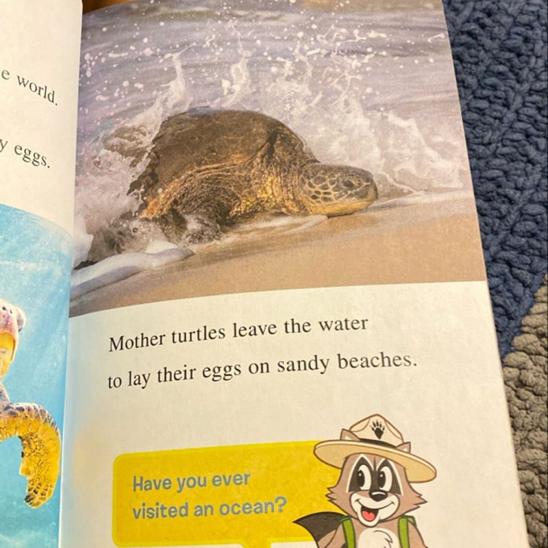 Ranger Rick: I Wish I Was a Sea Turtle