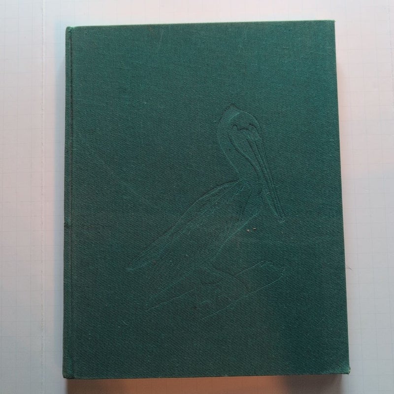 102 Favorite Audubon Birds of America
